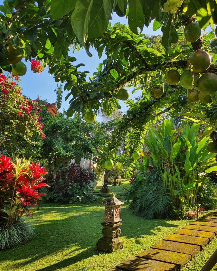 ホテル Sava Eco Retreat Padangan  エクステリア 写真