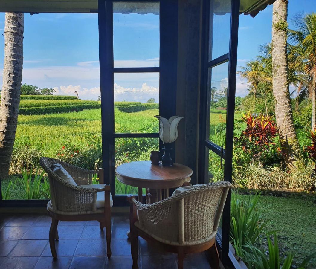ホテル Sava Eco Retreat Padangan  エクステリア 写真