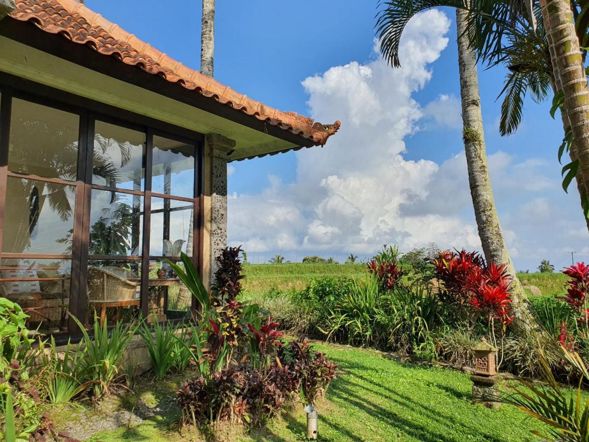 ホテル Sava Eco Retreat Padangan  エクステリア 写真