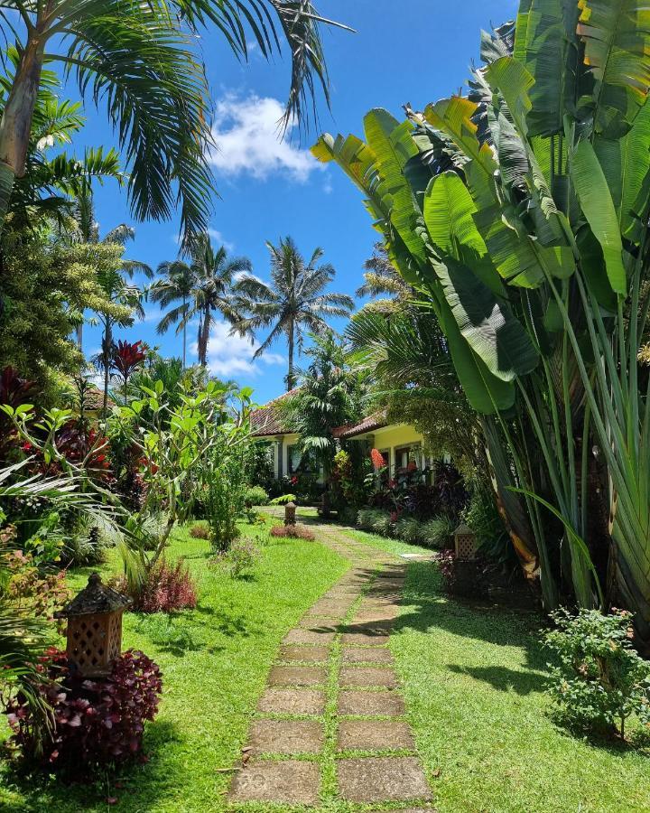 ホテル Sava Eco Retreat Padangan  エクステリア 写真