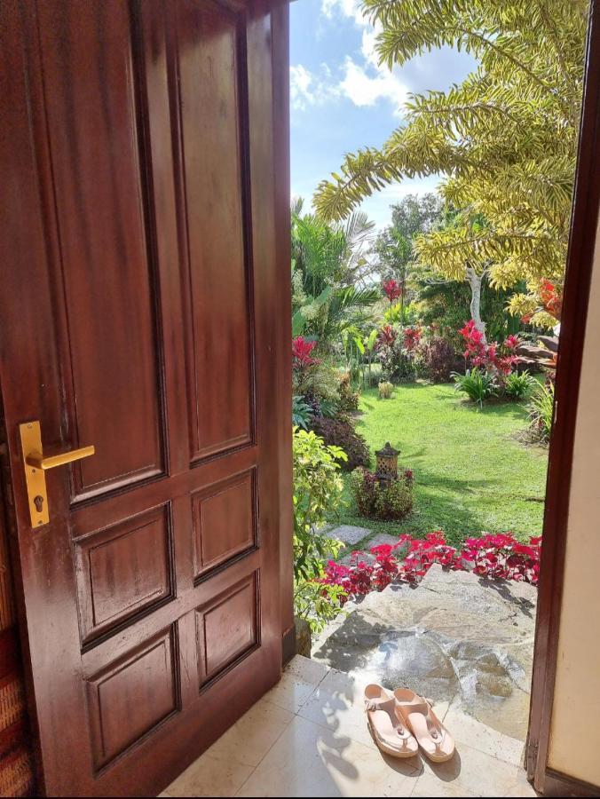ホテル Sava Eco Retreat Padangan  エクステリア 写真