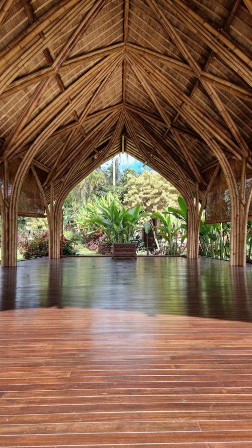 ホテル Sava Eco Retreat Padangan  エクステリア 写真