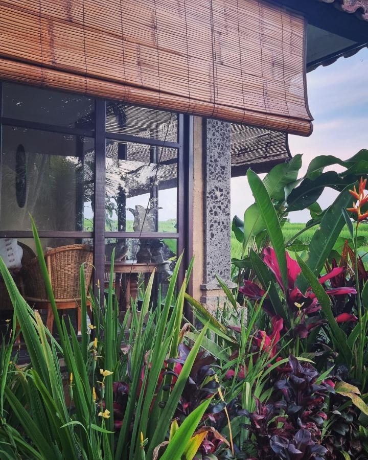 ホテル Sava Eco Retreat Padangan  エクステリア 写真