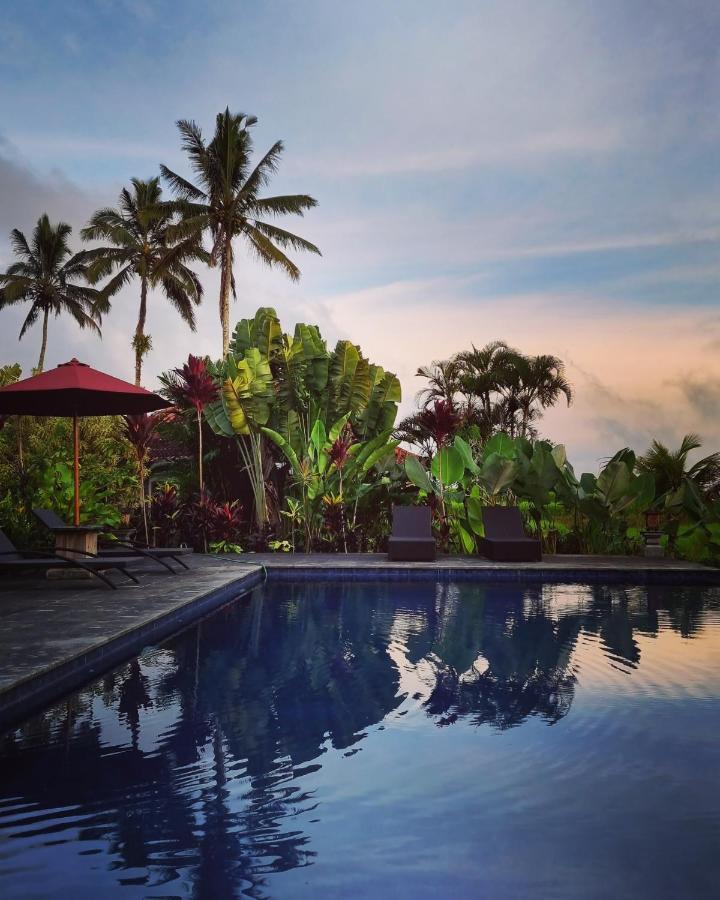 ホテル Sava Eco Retreat Padangan  エクステリア 写真