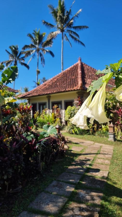 ホテル Sava Eco Retreat Padangan  エクステリア 写真