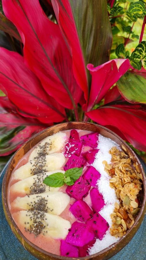 ホテル Sava Eco Retreat Padangan  エクステリア 写真