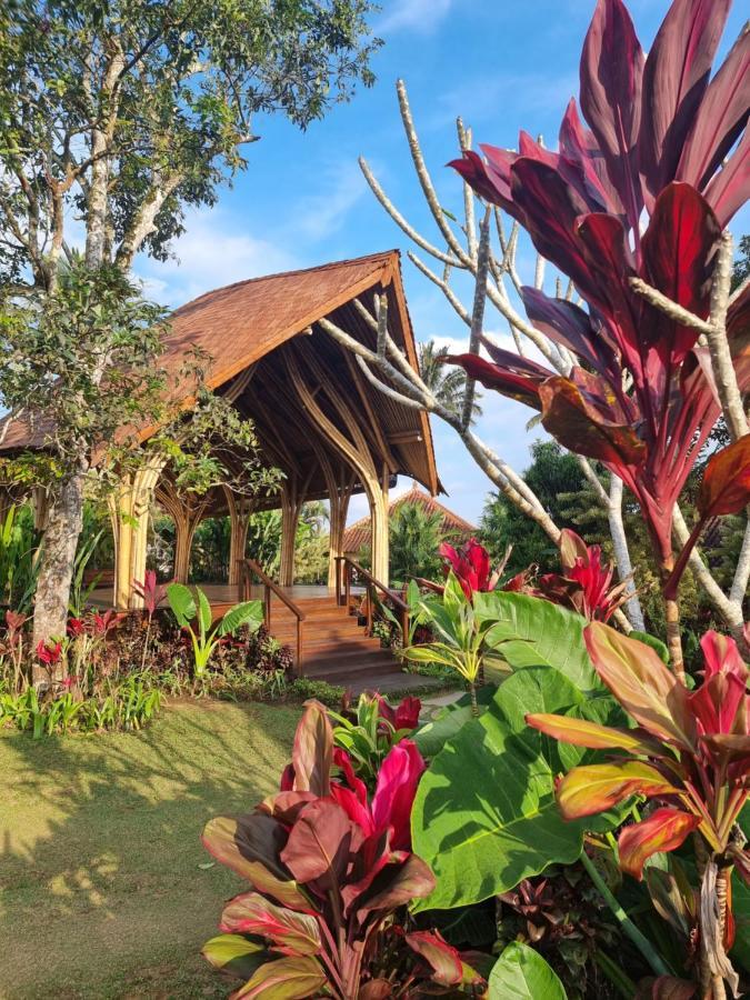 ホテル Sava Eco Retreat Padangan  エクステリア 写真
