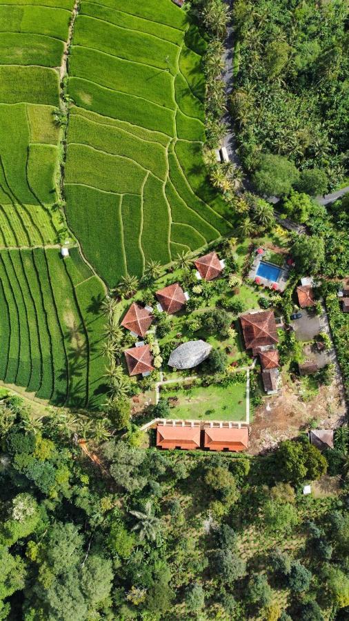 ホテル Sava Eco Retreat Padangan  エクステリア 写真
