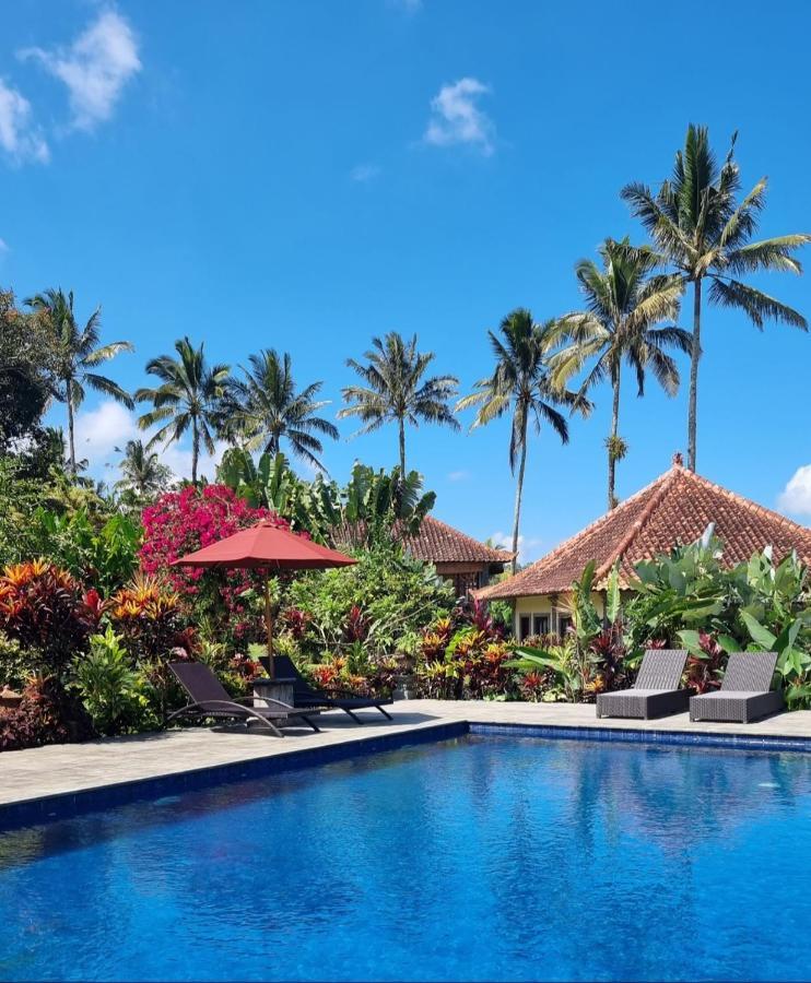 ホテル Sava Eco Retreat Padangan  エクステリア 写真