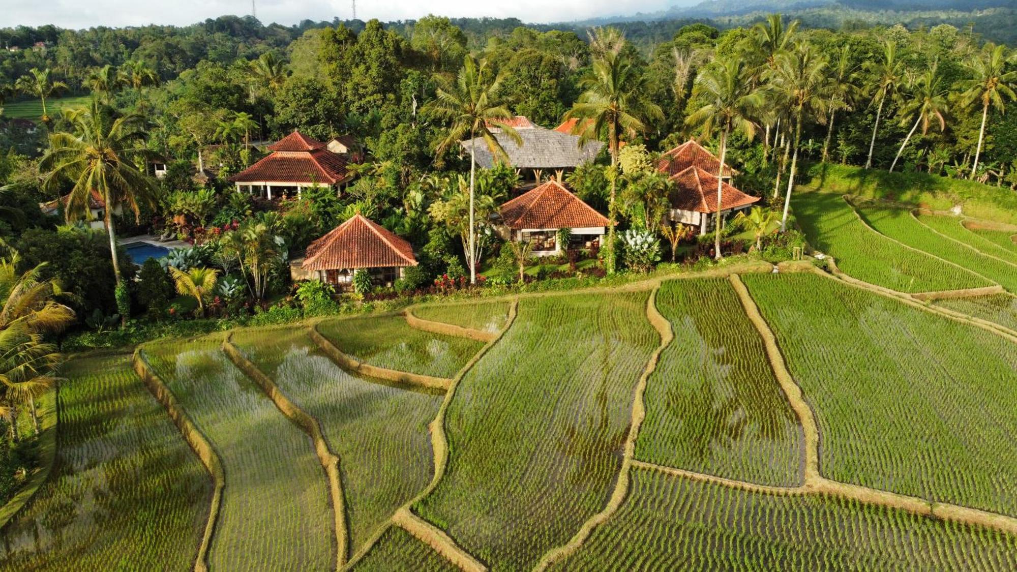 ホテル Sava Eco Retreat Padangan  エクステリア 写真